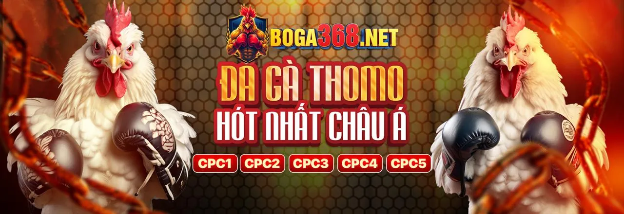 Sới gà trực tuyến 888new4 nhà cái